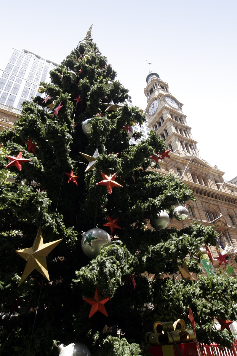 Christmas Tree Pics 02