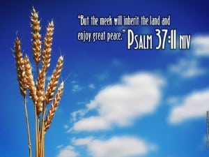 Psalm 37:11 Wallpaper