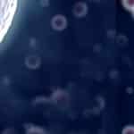 The Origin of Life