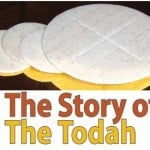 The Story of The Todah.jpg