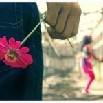 Times Of Love Failure